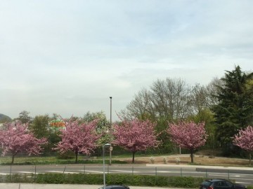 Beeindruckende Aussicht im Frühjahr